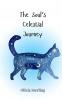 The Soul's Celestial Journey