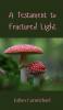 A Testament to Fractured Light