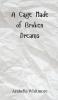 A Cage Made of Broken Dreams