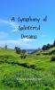 A Symphony of Splintered Dreams