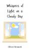 Whispers of Light on a Cloudy Day