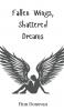 Fallen Wings Shattered Dreams