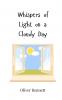 Whispers of Light on a Cloudy Day