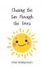 Chasing the Sun Through the Trees