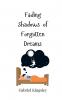Fading Shadows of Forgotten Dreams