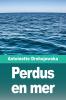 Perdus en mer