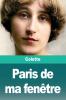 Paris de ma fenêtre