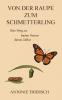 Von der Raupe zum Schmetterling