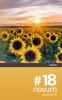 novum #18