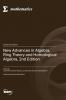 New Advances in Algebra Ring Theory and Homological Algebra 2nd Edition