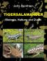 Tigersalamander