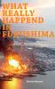 What really happened in Fukushima
