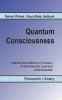 Quantum Consciousness