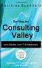 Der Weg ins Consulting Valley