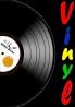 Vinyl - Meine Schallplattensammlung - Sammelbuch/Notizbuch für LP- und Single-Schallplatten