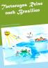 Tartarugas Reise nach Brasilien