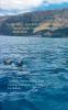 Cruises... in a different way! Compact Travel Guide Canary Islands 2019/2020