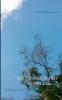 Der Himmel ist hier anders blau ...