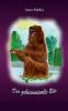 Der geheimnisvolle Bär