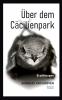 Über dem Cäcilienpark