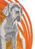 Deutsche Dogge