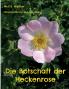 Die Botschaft der Heckenrose