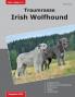 Traumrasse Irish Wolfhound