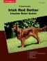 Traumrasse Irish Red Setter