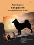 Traumrasse Schipperke