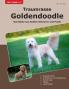 Traumrasse Goldendoodle