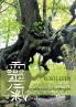 Reiki leben