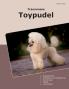 Traumrasse Toypudel