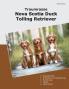 Traumrasse Nova Scotia Duck Tolling Retriever