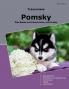 Traumrasse Pomsky