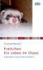 Frettchen - Ein Leben im Chaos