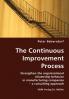 The Continuous Improvement Process