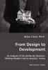 From Design to Development - An Analysis of the Go/No-Go Decision-Making Models Used in Istanbul Turkey