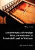Determinants of Foreign Direct Investment at Provincial Level in Vietnam