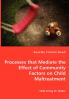 Processes that Mediate the Effect of Community Factors on Child Maltreatment
