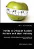 Trends in Emission Factors for Iron and Steel Industry - Assessment of Methodologies and Calculation on Different Scales