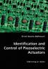 Identification and Control of Piezoelectric Actuators