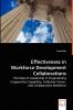 Effectiveness in Workforce Development Collaborations - The Role of Leadership in Engendering Cooperative Capability Collective Vision and Collaborative Resilience