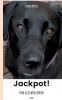 Jackpot!