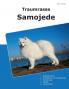 Traumrasse Samojede