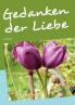 Gedanken der Liebe