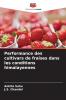 Performance des cultivars de fraises dans les conditions himalayennes