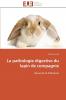 La pathologie digestive du lapin de compagnie