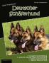 Unser Traumhund