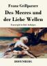 Des Meeres und der Liebe Wellen