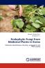 Endophytic Fungi from Medicinal Plants in Korea